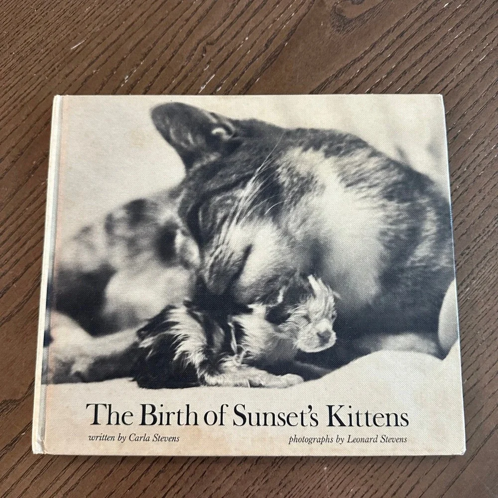 Birth of Sunset's Kittens Carla Stevens 1969 Vintage Childrens Book Cat Photo
